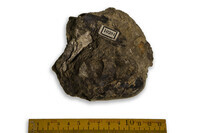 F 10201
<br/>
<br/>
<em></em>